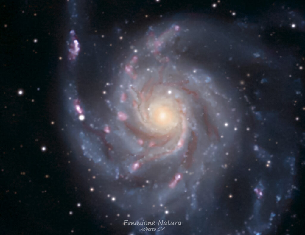 Supernova in M101